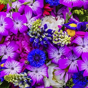 Purple geraniums, blue corn flower bouquet