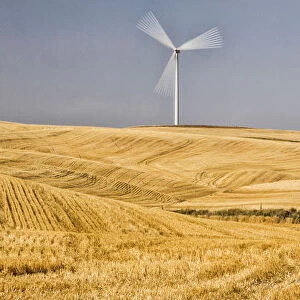 USA, Washington State, Palouse. Wind farm in the Palouse