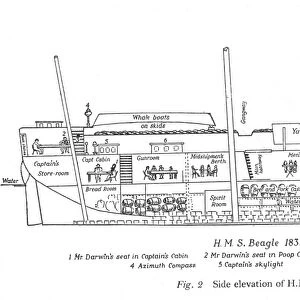 Side elevation of the Beagle, on which Charles Darwin sailed as naturalist from 1831 to 1836