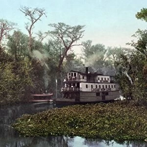 FLORIDA: STEAMBOAT, c1902. A passenger steamboat on Ocklawaha River, Floridia. Photochrome