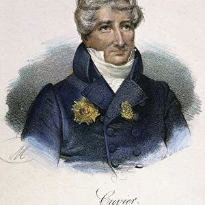 GEORGES CUVIER (1769-1832). French naturalist and zoologist. Lithograph, French