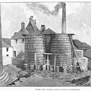 WHISKY DISTILLERY, 1890. The Glenlivet Scotch Whisky Distillery near Ballindalloch in Moray, Scotland. Line engraving, English, 1890