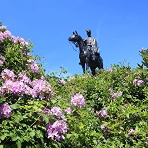 Statue of 1st Duke of Wellington at Round Hill Aldershot