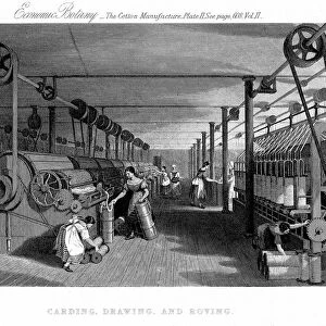 Carding, drawing and roving cotton. Carding engine (left) delivers cotton in a single sliver