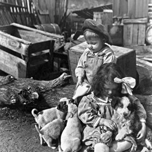Children On Farm With Puppies