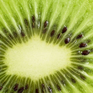 Cross section of kiwi fruit