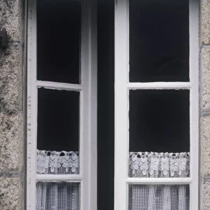 France, Brittany, cat at window with lace curtains