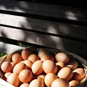 Free range eggs in basket