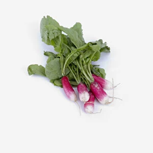 French breakfast radishes with leaves still attached, close-up