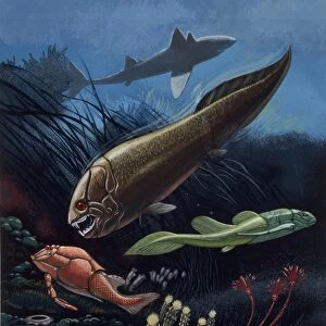 Prehistoric fishes, underwater view, illustration