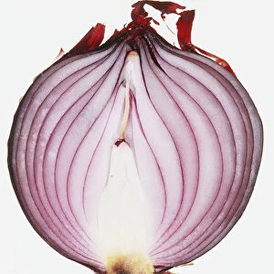 Red onion half, cross-section