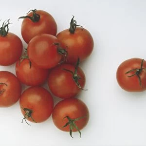 Ripe red vine tomatoes