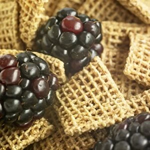Wheat cereal squares with blackberries