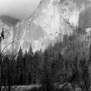 archival, black & white, c, cliff, forest, historical, mountain, nature, nobody, outdoor