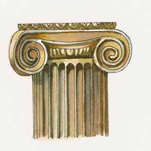 Digital illustration of Ionic order column