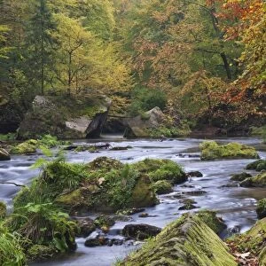 Edmundova Soutěska gorge, Kamenice river, autumn, Bohemian Switzerland, Czech Republic, Europe