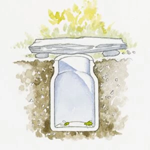 Illustration of two green insects in bug catcher jar buried below soil