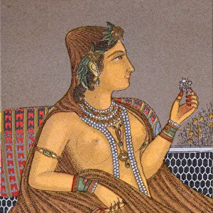 Mughal Illustrations