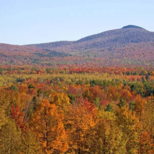 Landscape with trees in autumnal colours, Mansonville, Quebec, Canada