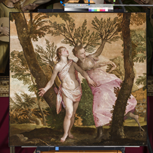 Apollo and Daphne, c. 1560-65 (oil on canvas)