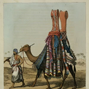 Camel Conveying a Bride to her Husband, engraved by Denis Dighton (1792-1827