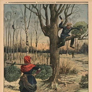 Cutting the mistletoe, back cover illustration from Le Petit Journal, supplement illustre