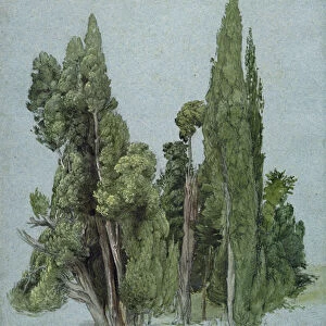 The Cypresses at the Villa d Este, Tivoli (w / c & gouache with graphite on paper)