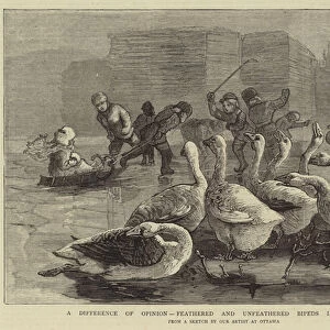 A Difference of Opinion, feathered and unfeathered Bipeds in the Frost (engraving)