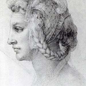 Ideal Head of a Woman, c. 1525-28 (black chalk on paper) (b / w photo)