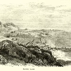 Norfolk Island (engraving)
