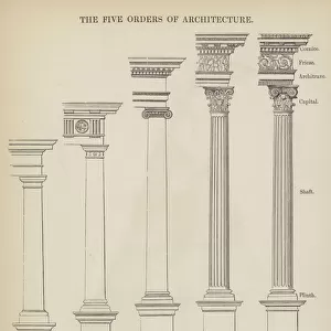 The Five Orders of Architecture (engraving)