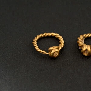 Pair of earrings (gold)