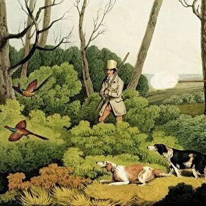 Pheasant Shooting, pub. by Thomas McLean, 1820 (print)