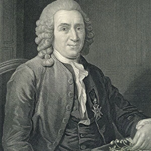 Portrait of Carolus Linnaeus, 19th century (engraving)