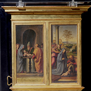 Presentation in the Temple and the Nativity, c. 1497 (tempera on panel)