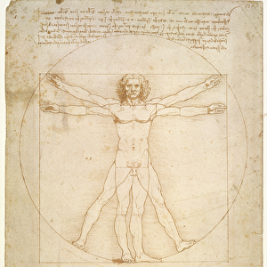 The Proportions of the human figure (after Vitruvius), c. 1492 (pen & ink on paper)