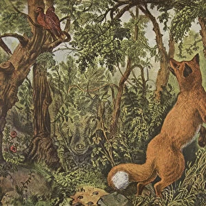 The Puzzled Fox, pub. 1872, Currier & Ives (colour litho)