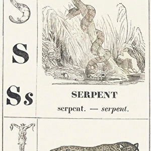 S T: Snake -- Tiger, 1850 (engraving)