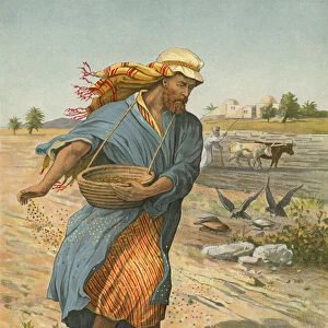 The Sower Sowing the Seed