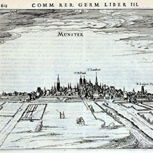 View of the town of Munster, from Rerum Germanicarum, by P