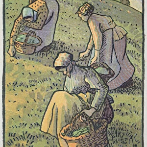 Women Gathering Mushrooms, from Travaux des Champs