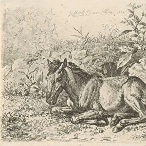 Lying horse for some plants, Johannes Mock, 1824