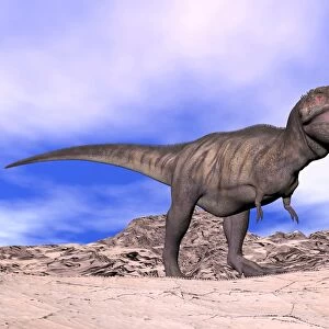 Aggressive Tyrannosaurus Rex dinosaur in the desert