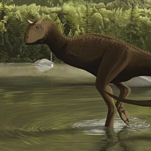 Carnotaurus searching for food in a prehistoric lake