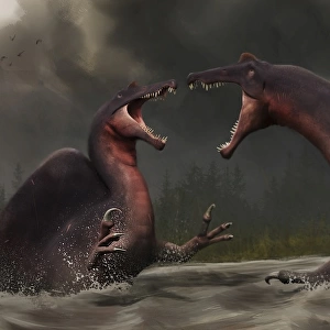 Confrontation between two Spinosaurus aegyptiacus