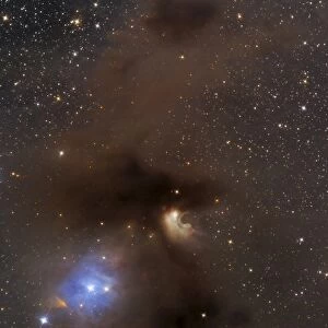 A rich region of reflection and emission nebulae in the Camaeleon constellation
