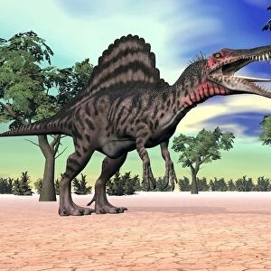 Spinosaurus standing in the desert with trees