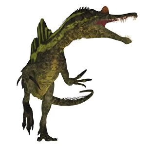 A vicious Ichthyovenator dinosaur