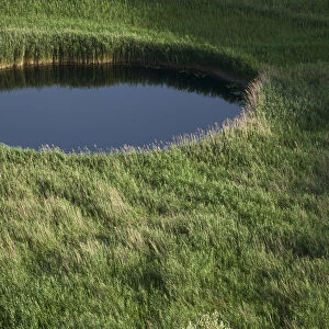 Sinkhole in marshland covered in Reeds (Phragmites sp) near the lower Neretva river delta