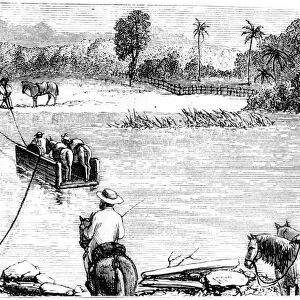 Crossing the Isabella, Santo Domingo, 1873